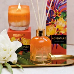 Stoneglow Infusion Adventure Saffron & Bergamot Reed Diffuser 7 Stoneglow Infusion Adventure Saffron & Bergamot Reed Diffuser -Yanke Home Shop 70492 stoneglow infusion adventure reed diffuser lifestyle 1