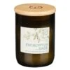 Paddywax Eco 226g Eucalyptus And Sage Green Recycled Glass Soy Candle 2 Paddywax Eco 226g Eucalyptus And Sage Green Recycled Glass Soy Candle -Yanke Home Shop paddywax eg13eu eco eucalyptus sage recycled glass candle 01