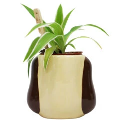 Wallace & Gromit– Gromit Shaped Plant Pot -Yanke Home Shop plntaa05 wallace gromit gromit shaped plant pot 2