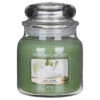 Yankee Candle Vanilla Lime Medium Jar Candle -Yanke Home Shop yankee candle 1107077e vanilla lime medium jar candle