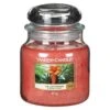 Yankee Candle The Last Paradise Medium Jar Candle -Yanke Home Shop yankee candle 1630343e the last paradise medium jar candle 1